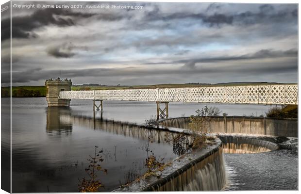 Fontburn Reservoir Canvas Print by Aimie Burley