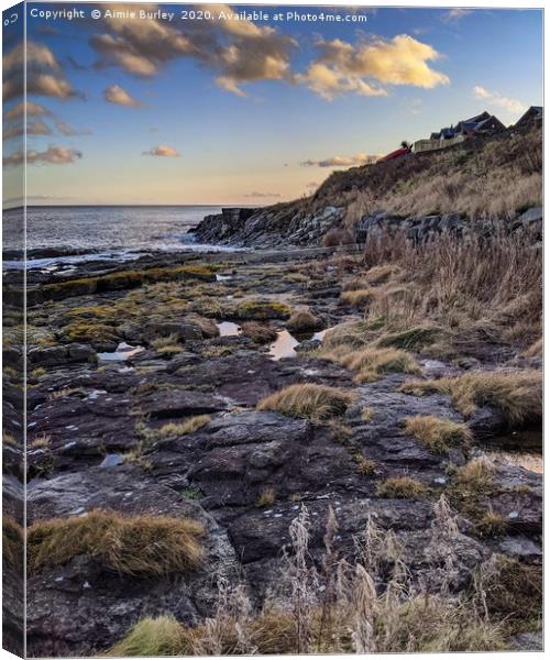 Craster Northumberland Canvas Print by Aimie Burley