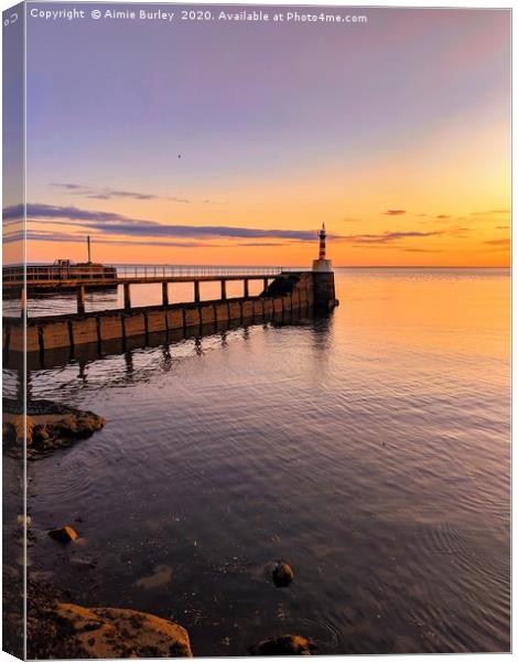 Amble at Sunrise Canvas Print by Aimie Burley