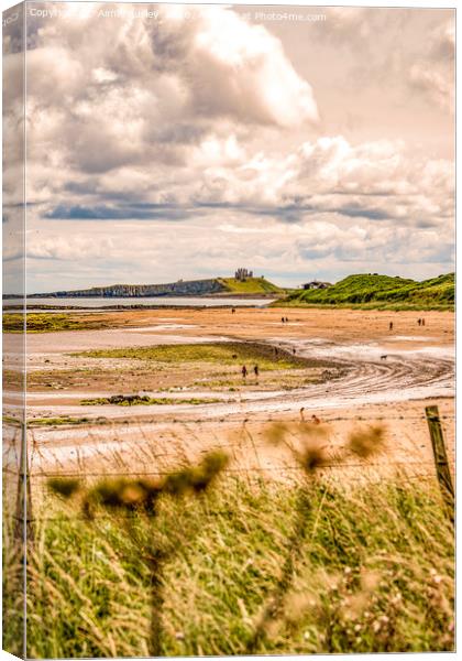 Low Newton, Northumberland  Canvas Print by Aimie Burley