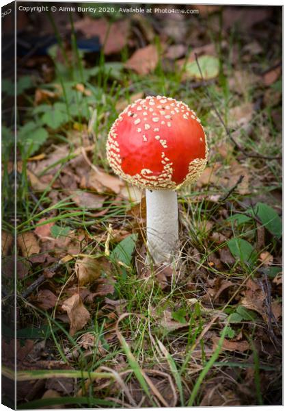 Faberge Toadstool Canvas Print by Aimie Burley