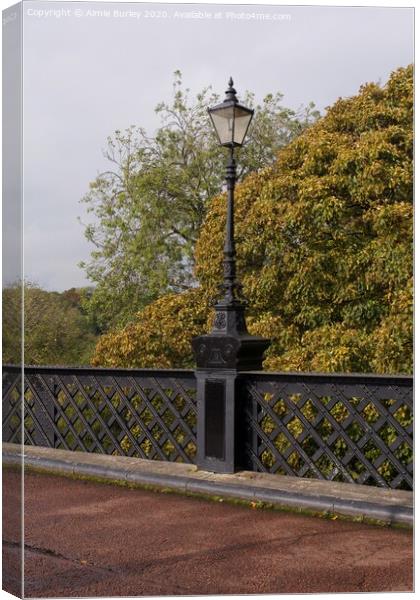 Lamppost in Autumn  Canvas Print by Aimie Burley