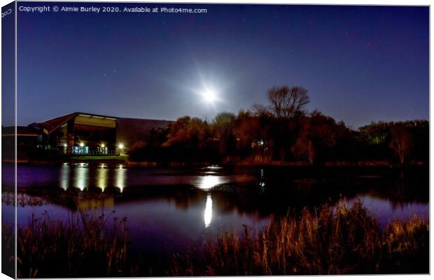 The Lakeside in the Moonlight  Canvas Print by Aimie Burley