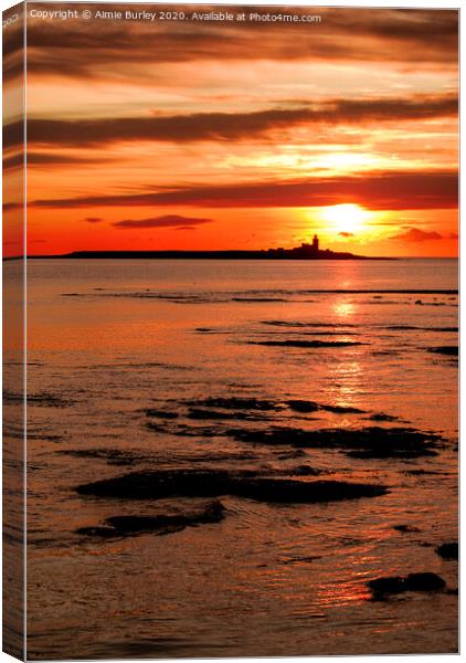 Northumberland Sunrise  Canvas Print by Aimie Burley