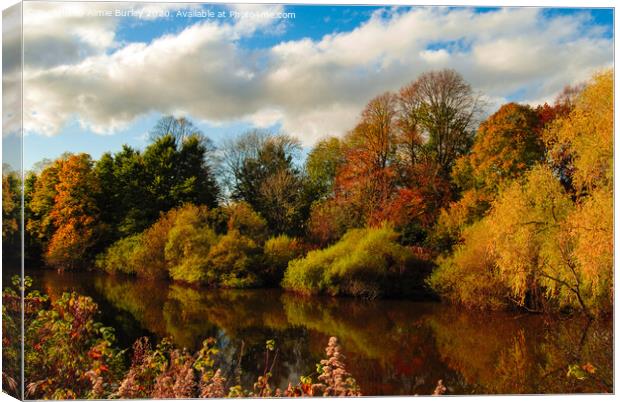 River reflections  Canvas Print by Aimie Burley