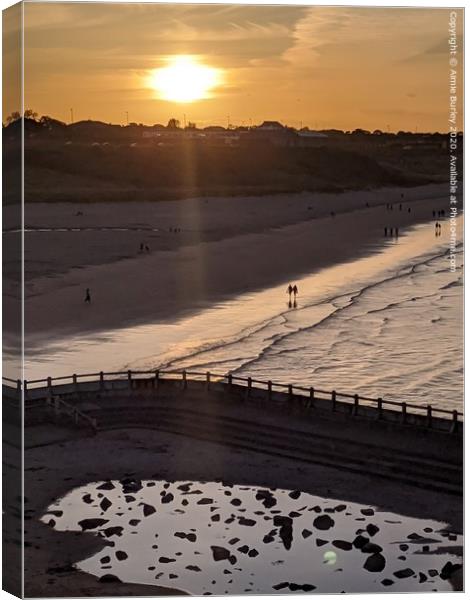 Tynemouth Sunset  Canvas Print by Aimie Burley