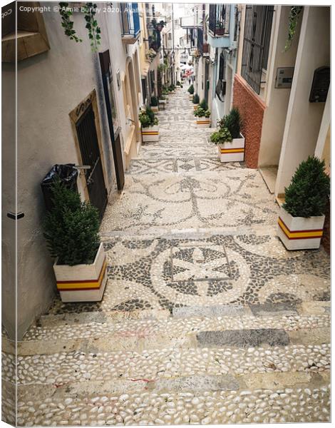 Street in Calpe   Canvas Print by Aimie Burley