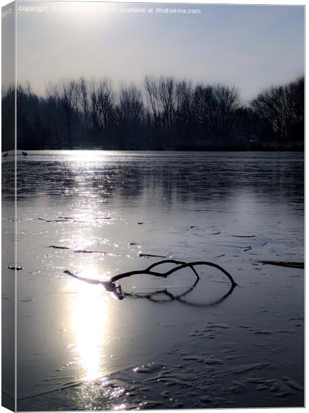 Frozen lake Canvas Print by Aimie Burley