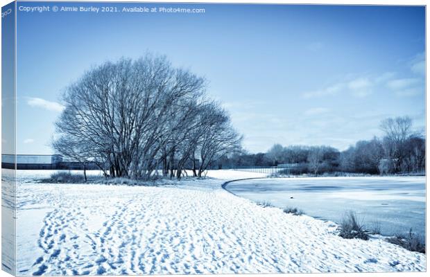 Frosty landscape Canvas Print by Aimie Burley