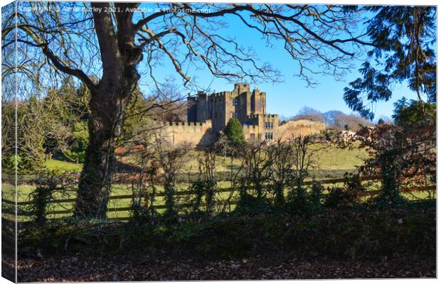 Castle in Northumberland  Canvas Print by Aimie Burley