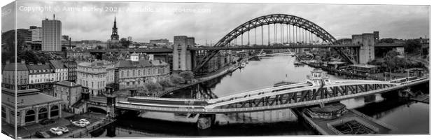 Newcastle Bridges panoramic  Canvas Print by Aimie Burley