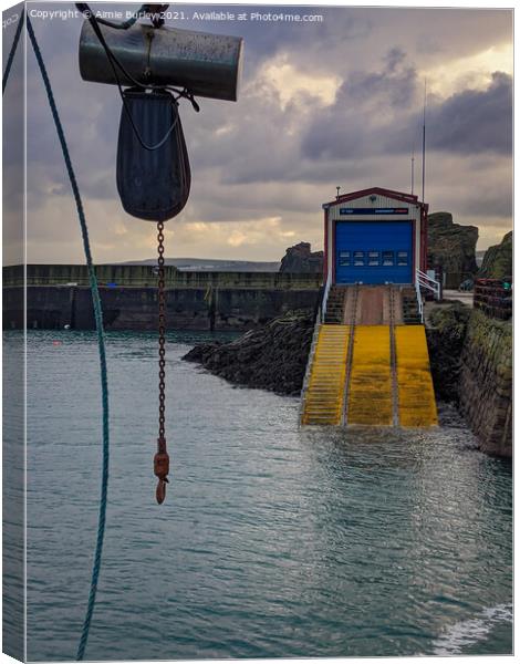 St. Abbs lifeboat station  Canvas Print by Aimie Burley