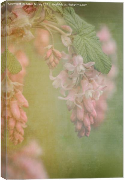Soft pink flowers Canvas Print by Aimie Burley