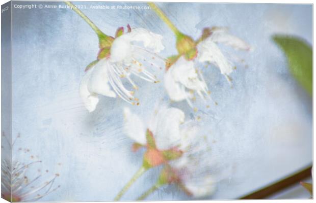 White blossom close up Canvas Print by Aimie Burley
