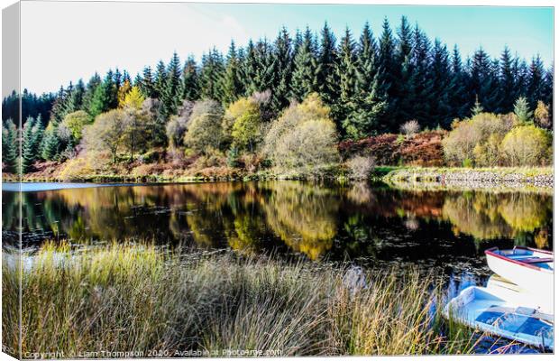 Autumn reflections Canvas Print by Liam Thompson