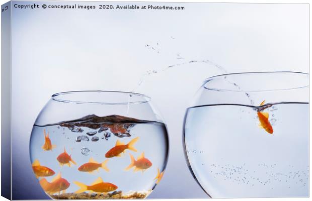 A Goldfish jumping out of a small crowded bowl  Canvas Print by conceptual images