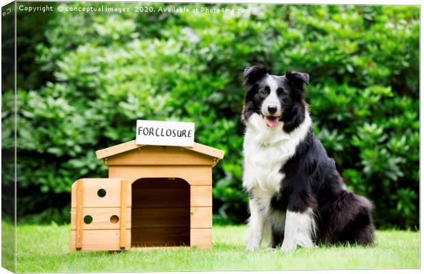 Sheepdog standing beside dog house  Canvas Print by conceptual images