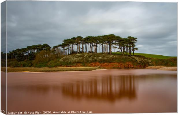 Budleigh Salterton pine trees Canvas Print by Kate Fish