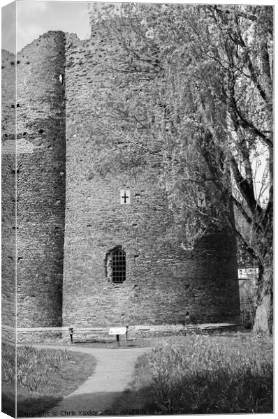 Cow Tower, Norwich Canvas Print by Chris Yaxley