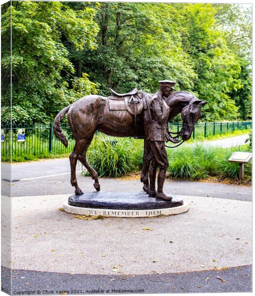 Soldier and war horse statue in Romsey Memorial Pak, Hampshire Canvas Print by Chris Yaxley