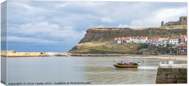 Pleasure boat in Whitby Harbour Canvas Print by Chris Yaxley