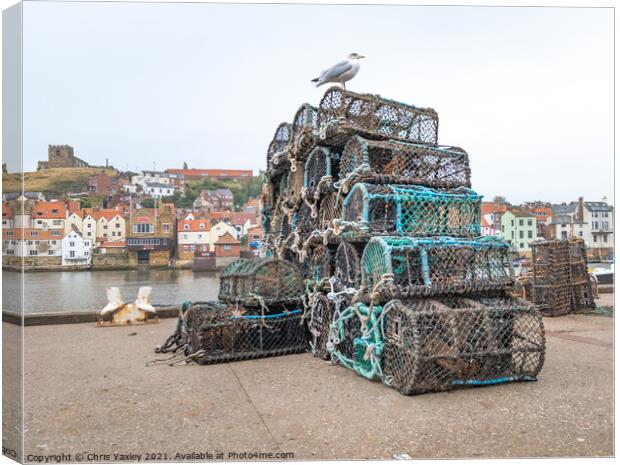 Fishing pots in Whitby Harbour Canvas Print by Chris Yaxley