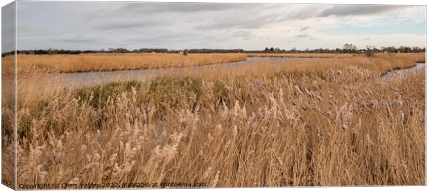 River Bure, Norfolk Broads Canvas Print by Chris Yaxley