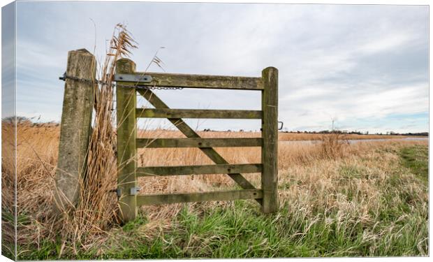 Rural gate, Norfolk Canvas Print by Chris Yaxley