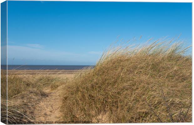 Hunstanton beach on the North Norfolk coast Canvas Print by Chris Yaxley