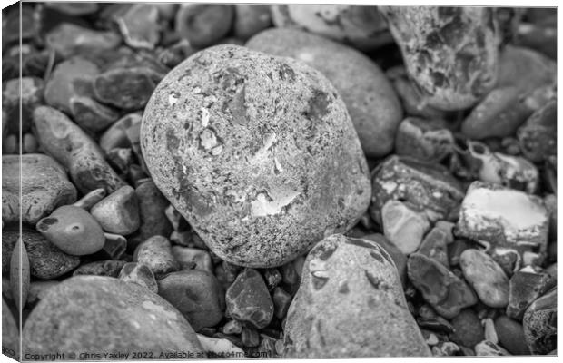 Rock on pebble beach Canvas Print by Chris Yaxley