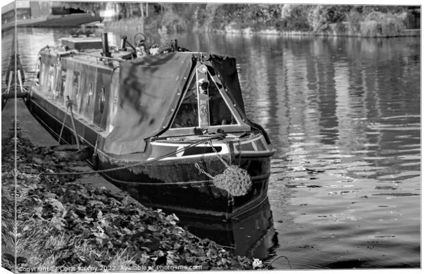 Traditional narrow boat moored on the River Cam in Jesus Green, Cambridge Canvas Print by Chris Yaxley