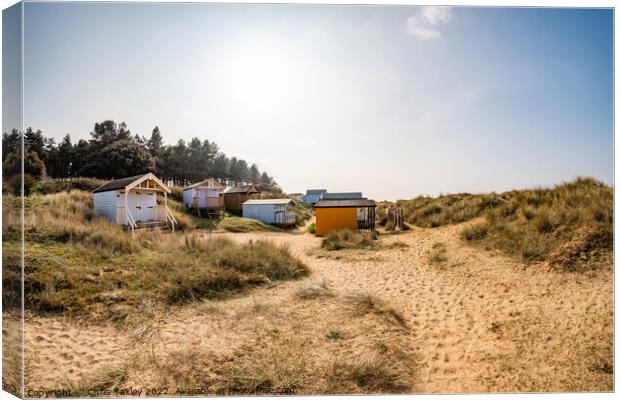 Hunstanton beach huts Canvas Print by Chris Yaxley