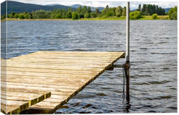 Wooden staging on Aboyne Loch, Aberdeenshire Canvas Print by Chris Yaxley