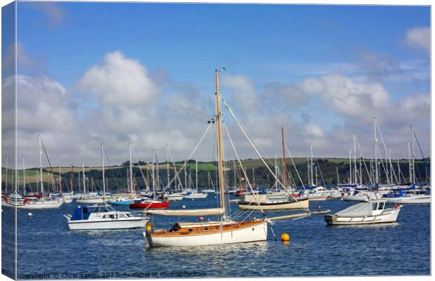 View across the Camel Estuary, Cornwall Canvas Print by Chris Yaxley