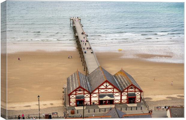 Victorian pier on the coast Canvas Print by Chris Yaxley