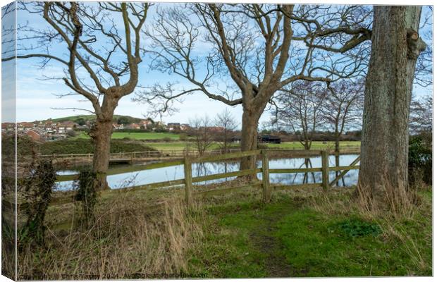 Pond of the priory of St Mary in the Meadow Canvas Print by Chris Yaxley