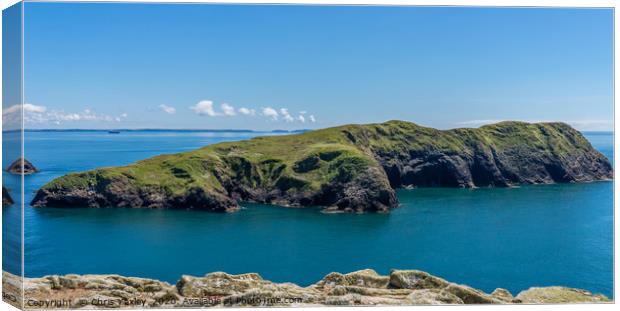 The island of Ynys Bery on the Welsh coast Canvas Print by Chris Yaxley