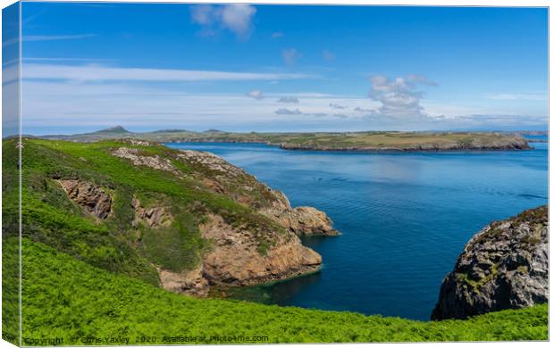 View from RSPB Ramsey Island towards the mainland Canvas Print by Chris Yaxley