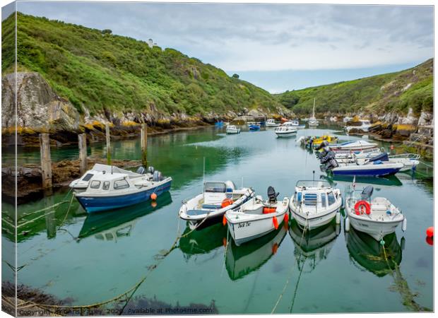 Boats in the harbour at Porthclais Canvas Print by Chris Yaxley