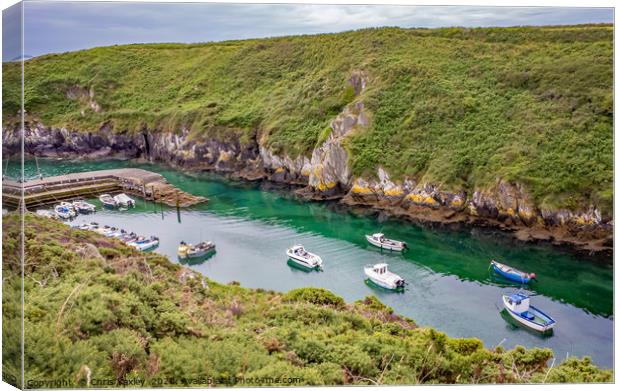 Looking down on Porthclais Harbour, Wales Canvas Print by Chris Yaxley