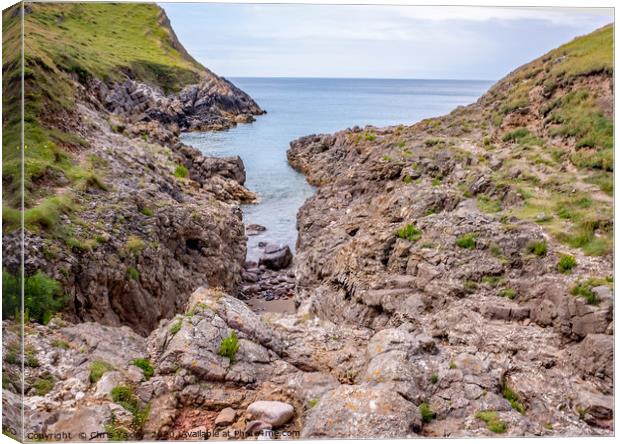 A view over Mewslade Bay at high water Canvas Print by Chris Yaxley