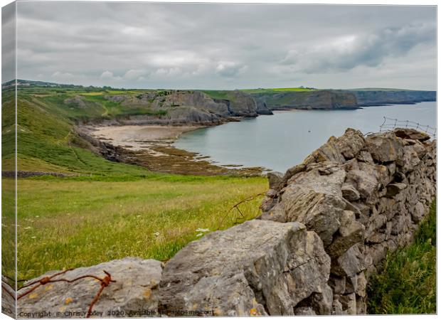 A view over Fall Bay from the Gower Coastal Path Canvas Print by Chris Yaxley
