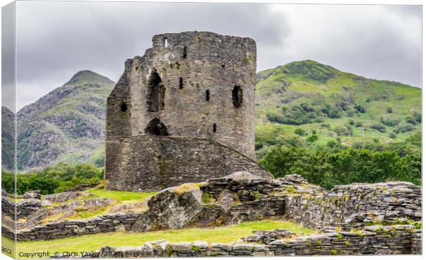 Dolbardan Castle - Protector of the Llanberis Pass Canvas Print by Chris Yaxley