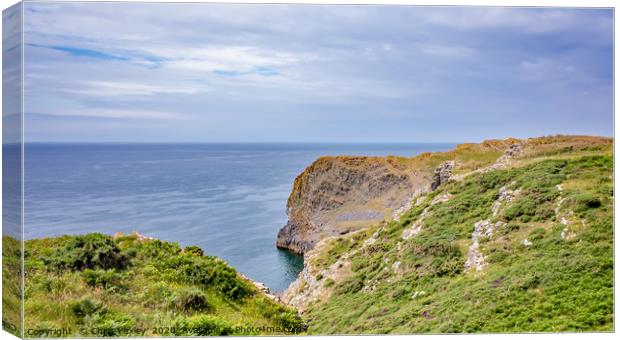Thurba Head captured from the Welsh Coastal Path Canvas Print by Chris Yaxley
