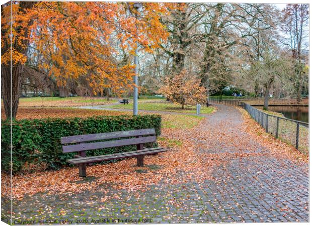 Wooden park bench in autumn in the Netherlands Canvas Print by Chris Yaxley