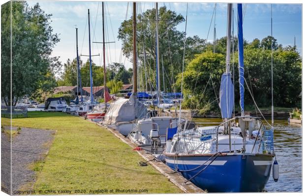Sailing boats moored in Hickling, Norfolk Broads Canvas Print by Chris Yaxley