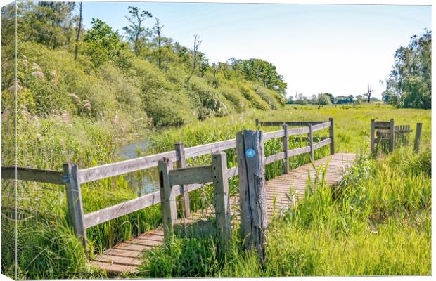Wooden bridge in the Norfolk countryside Canvas Print by Chris Yaxley