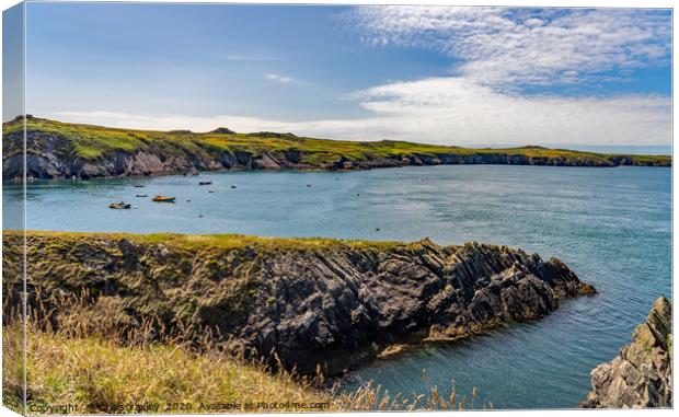A view across St Justinian's on the Pembrokeshire  Canvas Print by Chris Yaxley