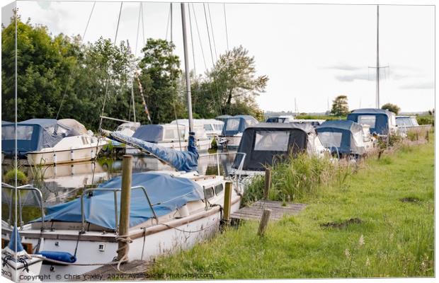 Moored boats, Norfolk Broads Canvas Print by Chris Yaxley
