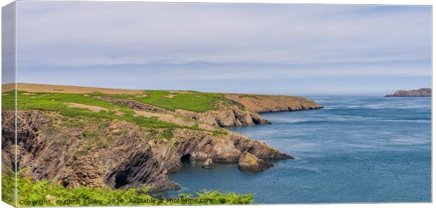 Ramsey Island and Ramsey Sound, Wales Canvas Print by Chris Yaxley